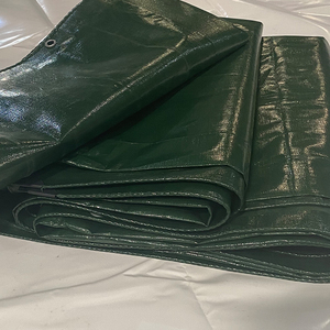 Bâches de haute qualité, imperméables, en tissu, <span class=keywords><strong>pour</strong></span> jardin extérieur, abri <span class=keywords><strong>pour</strong></span> plantes, bâche en PE <span class=keywords><strong>pour</strong></span> bateau, voiture, camion, auvent, protection contre la pluie - Product Image 4