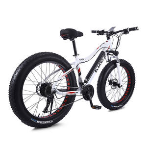 Bicicleta eléctrica con batería de 48v, <span class=keywords><strong>ebike</strong></span> de nieve de 750w, neumático ancho de 26 pulgadas, en venta - Product Image 1