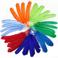 Plumes d'ailes de dinde teintes en gros, 10-12 pouces, multicolores, pour l'artisanat de carnaval, la décoration de costumes et les projets de bricolage