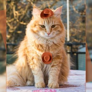 หมวกผ้ายีนส์ขนาดเล็กหมวกวันเกิดน้ำหนักเบาหมวกคาวบอยตะวันตกสำหรับปาร์ตี้สละโสดดีไซน์ใหม่จากโรงงาน - Product Image 5