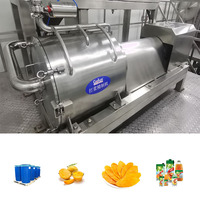 Volautomatische Machine Wassen Mango Fruit Mango Productielijn Sap Maken Machine Droger Mango Puree