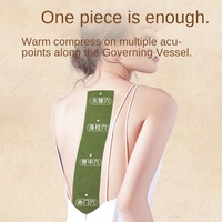 Patch de Moxa à l'Armoise pour le Canal de la Moxibustion, Thérapie Chauffante pour les Vertèbres Cervicales, Thoraciques et Lombaires, le Dos et les Genoux