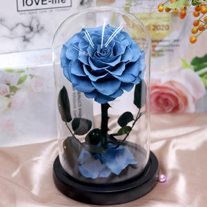 INUNION, de larga duración, preservadas para siempre, rosas eternas reales en cúpula de cristal con luz LED para regalo y <span class=keywords><strong>Festival</strong></span> - Product Image 2