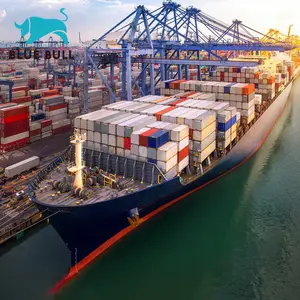 Layanan pintu ke pintu termurah DDP Sea/Air freight forwarder china biaya pengiriman agen ke AS Eropa Perancis Kanada Inggris