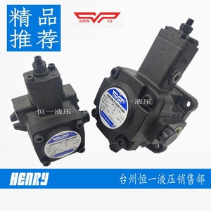 Bomba de aceite hidráulica de paletas variables Shenyu VP-20-F/A3, fabricada en Taiwán - Product Image 5