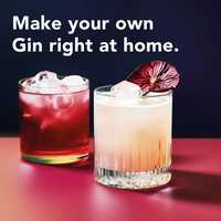 Kit d'infusion de gin DIY : Ensemble de 12 épices botaniques pour cocktails