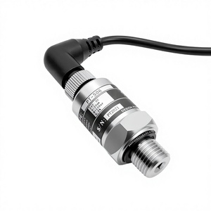 Transductor de Presión 0-1/1.6/2.5Mpa IP68 PT506, Transmisor de Acero Inoxidable 304, Sensor de Bomba de Agua de Frecuencia Variable, DC24V 0.5%FS - Product Image 2