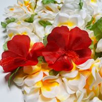 Kalung Bunga Plastik Plumeria Tropis Putih Dengan Aksen Hibiscus Untuk Wisuda, Acara Luau, Liburan Pantai