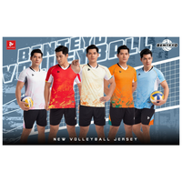 Maillots de volley-ball gonflables personnalisables pour l'été en extérieur - Fabricant en gros de filets de plage transparents