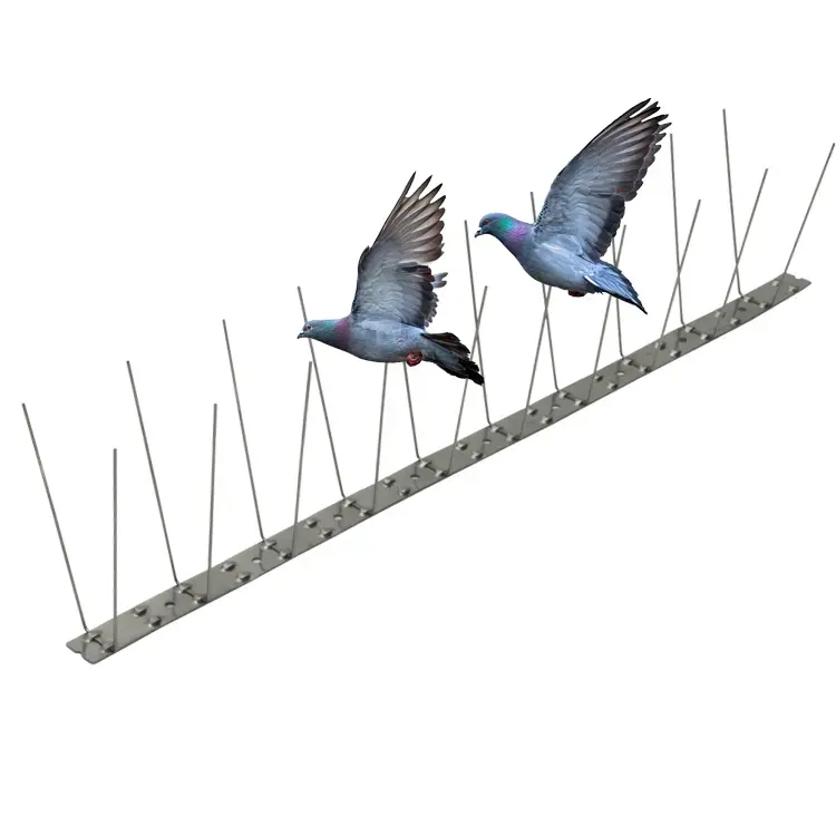 सीगल सरीसृप स्टेनलेस स्टील पक्षी स्पाइक जाल जाल जाल पक्षी तार के तार-विरोधी पक्षी स्पाइक