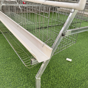 Cage à <span class=keywords><strong>poules</strong></span> pondeuses de type A, cage à batterie pour <span class=keywords><strong>poules</strong></span> pondeuses, 96/120/128/160 oiseaux, utilisation en maison, 3/4 niveaux, cage à <span class=keywords><strong>poules</strong></span> pondeuses pour élevage avicole - Product Image 5