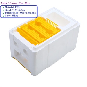 High Quality Beekeeping Equipment Material EPS Mini Mating Box Bee Hive Nuc Box Queen Rearing Hive for Beekeeping