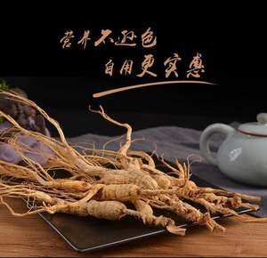 Ginseng Panax kering 20 tahun tumbuh di hutan semi liar ginseng dari pegunungan yang direndam dalam anggur - Product Image 3