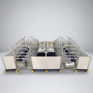 Caja de Parto para Cerdas con Piso de Listones de Plástico Estilo Europeo Antiaplastamiento y Paredes Laterales Sólidas de PE, con Calefacción para Lechones - Product Image 1