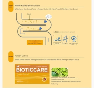 OEM 냉압착 그린커피콩 곤약 식사대용 파우더 블록스 흡수억제 지방 연소 식사량 감소 체중 감량 - Product Image 6