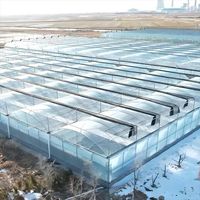 Serre tunnel agricole commerciale multi-chapelles en film plastique hydroponique de grande taille pour la culture de tomates