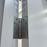 Porte battante en acier et verre coupe-feu 20-180 min, finition minimaliste, usage commercial intérieur, garantie 3 ans, pour hôpitaux et entrepôts