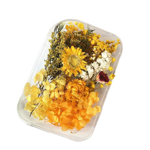 Kit <span class=keywords><strong>de</strong></span> fleurs séchées DIY pour bougies parfumées, accessoires <span class=keywords><strong>de</strong></span> fabrication <span class=keywords><strong>de</strong></span> cartes, fleurs séchées artisanales, petites fleurs <span class=keywords><strong>de</strong></span> <span class=keywords><strong>pampa</strong></span> - Product Image 6