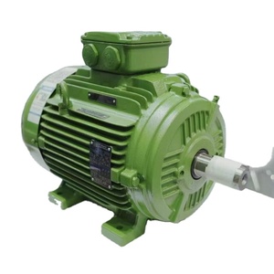 มอเตอร์เหนี่ยวนำสามเฟส Weg Squirrel รุ่น W22 ขนาด 10HP 15HP 20HP 25HP 30HP 40HP 50HP 100HP จากโรงงาน - Product Image 6