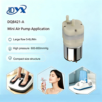 Produits très demandés : Pompe à air portable 6V 12V 24V, Pompe de massage des pieds 6L, Petite pompe à air à moteur DC pour nébuliseur