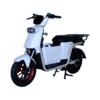 Trottinette Électrique GPS Longue Portée en Gros 1000W 72V Frein à Disque Avant et Arrière Double Amortisseur Hydraulique NFC Écran LCD Couleur 200kg