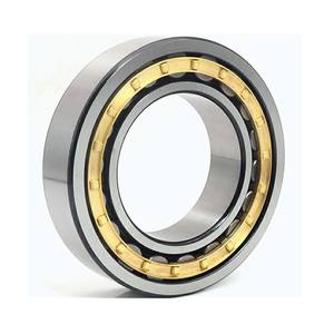 Reductor serie NJ, NU con rodamiento de rodillos cilíndricos NJ1026 - Product Image 3