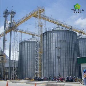ODM silo TCK 6050T silo เหล็กเส้นก้นแบนสำหรับฟาร์ม<span class=keywords><strong>ห</strong></span>มู1000-15000ตันรับ ISO9001ได้รับการรับรอง CE - Product Image 4