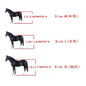Ensemble de protections pour les jambes avant des chevaux, taille réglable, bottes de tendon pour chevaux, bandages de protection pour les jambes des chevaux, attelles réglables, 3 tailles applicables - Product Image 6