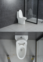 Vente directe usine : WC monobloc en céramique, à poser au sol, avec abattant à fermeture douce, facile à nettoyer, économie d'eau