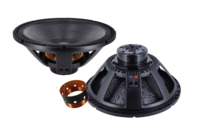 Haut-parleur professionnel d'extérieur de 18 pouces, 1000 W, aimant en néodyme, 99,5 mm VC, caisson de basses robuste, 8 ohms, système de sonorisation à basses profondes