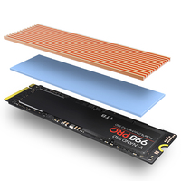 JEYI Factory M.2 SSD Heatsink pour PS5/PC Coussin thermique de refroidissement en aluminium double face avec supports en silicone NVMe/NGFF 2280 PCI-E