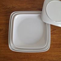 Vaisselle écologique pas chère en mélamine carrée pour restaurants et usage domestique, assiettes en plastique pour riz et nouilles