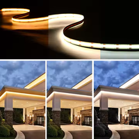 Tira de luz LED CCT COB regulable de alto brillo, Control remoto para 576Leds DC24V WS2811 para el hogar, paisaje interior