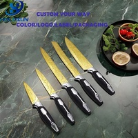 Ensemble de couteaux de chef haut de gamme en acier inoxydable plaqué titane doré, 6 pièces, avec manche ergonomique en caoutchouc et plastique et bloc de rangement