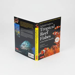 Impression de livres en carton offset avec logo personnalisé, reliure parfaite, prix d'usine - Product Image 1