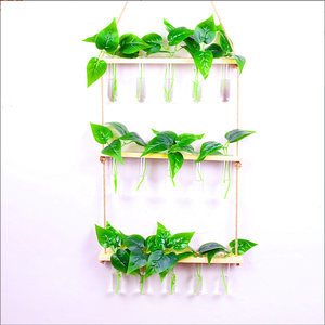 Cadre en bois de Style nordique Ins verrerie murale suspendue Test hydroponique fleur Tube Vase <span class=keywords><strong>pour</strong></span> salle de bain salon Vintage - Product Image 4