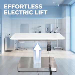 Mesa de Operaciones Quirúrgicas Eléctrica Premium ClearSight CGETL-005 para Perros y Gatos, Fácil de Limpiar, con Superficie en V Ajustable en Altura - Product Image 2