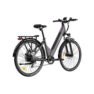 [UK] Vélo Fafrees F28 Pro, longueur totale 178, empattement 114, tube supérieur 68, disponible en gris canon, vert foncé, or titane, UK Fafre - Product Image 1