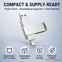 Clé USB en métal 64 Go 128 Go 256 Go Type C Double USB 3.0 Haute Vitesse OTG Design Pivotant