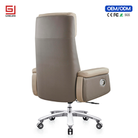 Chaise de bureau ergonomique professionnelle avec soutien lombaire et fonction pivotante