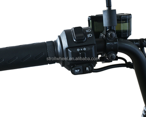 Motocicleta Eléctrica Deportiva <span class=keywords><strong>de</strong></span> 1000W, Motocicleta Eléctrica <span class=keywords><strong>de</strong></span> 60V - Product Image 4