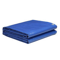 Bâche en PE personnalisée, double imperméabilité, argentée, bleue, bâche en plastique, couverture de camion, bâche de jardin, bâche agricole