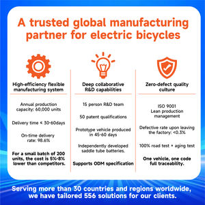 Selle ergonomique noire de l'usine Hottech pour vélo électrique pliable de 20 pouces - Product Image 4