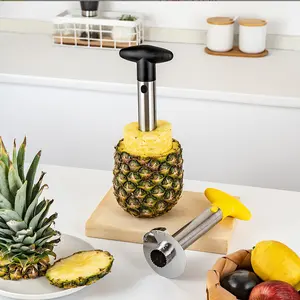2023 Hot Selling Hand Operated Stainless Steel Pineapple Cutter Peeler Fruit Tool Pineapple Corer Slicer Kitchen Gadget