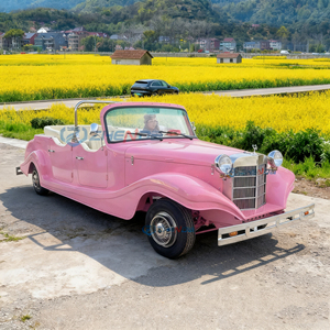 <span class=keywords><strong>Auto</strong></span> Elettrica Classica Vintage per Turismo, Veicolo Retrò per Adulti, Trasporto Speciale a Prezzo Scontato - Product Image 6