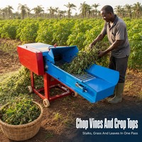 Machine à couper la paille de maïs 1 tonne/heure 380V triphasée, hacheuse de fourrage pour élevage de bovins et porcs