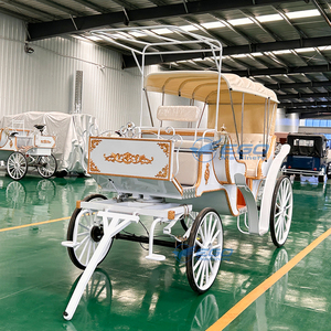 Calèche de luxe Victoria pour visites touristiques, transport spécial, calèche de mariage, calèches à chevaux à vendre - Product Image 5