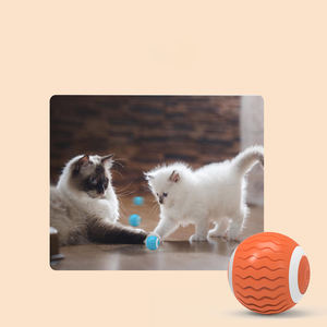 ของเล่นแมวแบบกลิ้งอัตโนมัติในบ้าน  แบบสมาร์ท  ประหยัดพลังงาน  ทันสมัย  เรียบง่าย  ลูกบอลหมุนได้พร้อมไฟ LED - Product Image 6