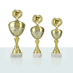 Serie di Coppe di Arti Marziali Saida (3 Taglie) - Product Image 1