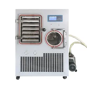 Herbs Vacuum Freeze Dryer Medium Food Dehydrator With Vacuum Pump Machine